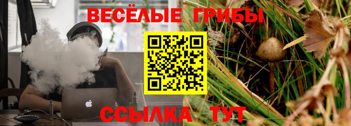 Ухта  Псилоцибиновые грибы Psilocybe  Вход с VPN  Псилоцибиновые грибы ЛСД 